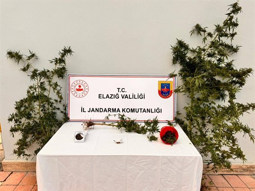 Bahçesine kenevir bitkisi ektiği tespit edilen (1) şüpheli hakkında adli tahkikata başlanılmıştır.